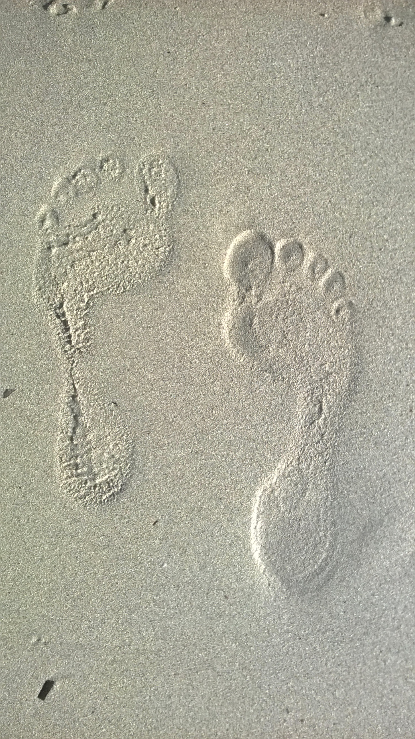 WP_20140711_011